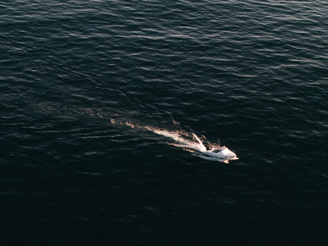 Aerial view of a small white motorboat cruising through the dark blue ocean leaving a white wake behind it in Dee Why New South Wales Australia. Aerial view of a small white motorboat cruising through the dark blue ocean leaving a white wake behind it in Dee Why New South Wales Australia.