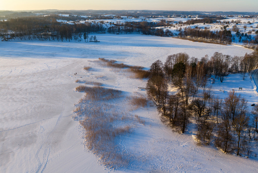 Aerial view of a frozen lake covered in snow with reeds along the shoreline and bare trees under soft winter light in Lithuania. Aerial view of a frozen lake covered in snow with reeds along the shoreline and bare trees under soft winter light in Lithuania.