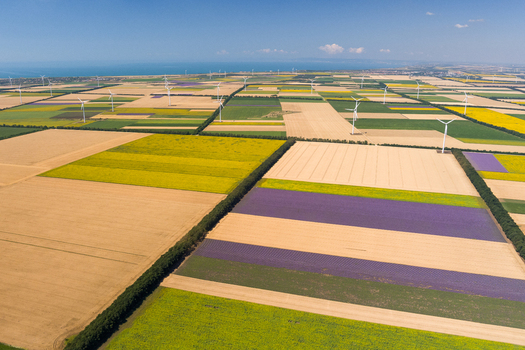 Aerial view of wind turbines standing in vast agricultural fields with colorful crops and rows of trees under a clear blue sky in Saints Constantine and Helena Varna Bulgaria.