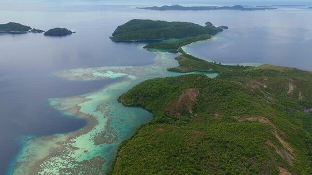 Aerial view of Piaynemo karst islands in Indonesia.