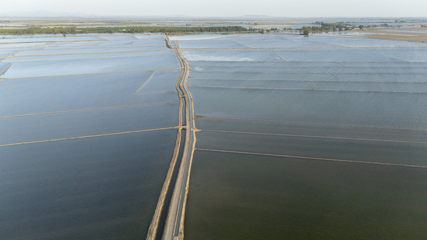 Aerial view of the flooded rice paddies at Isla Minima with a central road and irrigation canals under a clear sky in Coria del Rio Andalusia Spain. Aerial view of the flooded rice paddies at Isla Minima with a central road and irrigation canals under a clear sky in Coria del Rio Andalusia Spain.