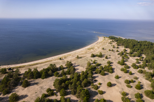 Aerial view of the sandy coastline and pine forest of the Parispea peninsula in Parispea Harju County Estonia.