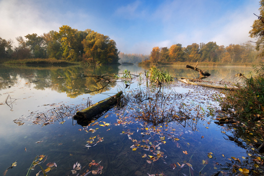 View of a serene oxbow lake reflecting autumn s golden foliage and fallen leaves under a soft sky Bodiky Trnava Region Slovakia. View of a serene oxbow lake reflecting autumn s golden foliage and fallen leaves under a soft sky Bodiky Trnava Region Slovakia.