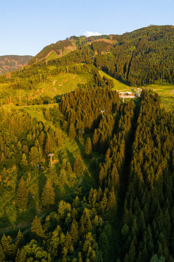 Aerial view of Val di Fiemme with dense coniferous forests ski lift infrastructure and mountain slopes illuminated by golden hour light Trentino Alto Adige Italy.