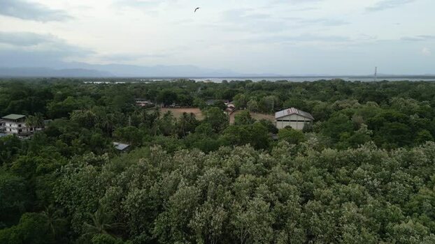 Aerial view of lush green forest landscape in Colombo Sri Lanka.