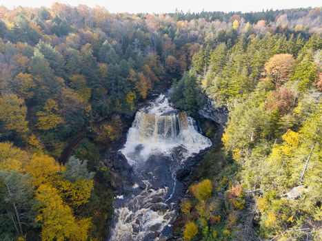 Aerial view of Blackwater Falls surrounded by dense forest with vibrant autumn foliage in Blackwater Falls State Park Davis West Virginia United States.