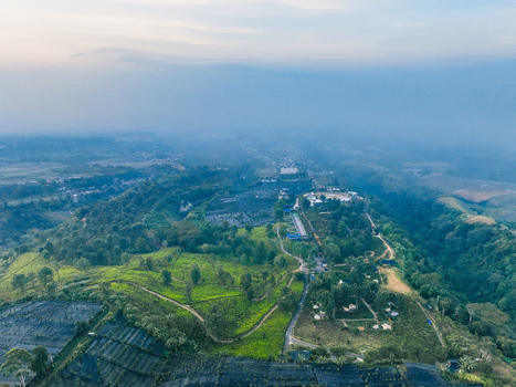 Aerial view of Goalpara Tea Park featuring lush green tea plantations winding paths and rolling hills under a soft sky in Kecamatan Sukaraja Jawa Barat Indonesia. Aerial view of Goalpara Tea Park featuring lush green tea plantations winding paths and rolling hills under a soft sky in Kecamatan Sukaraja Jawa Barat Indonesia.