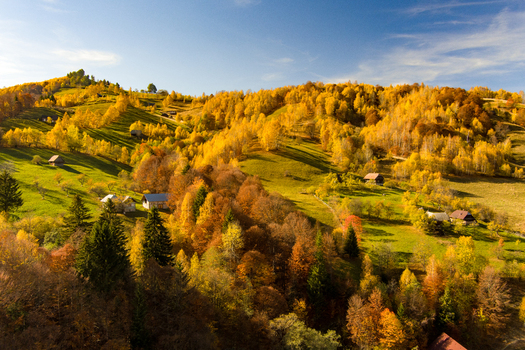 Aerial view of rolling hills in autumn with vibrant yellow and orange foliage scattered rural houses and green meadows under a clear blue sky in Bran Brasov Romania. Aerial view of rolling hills in autumn with vibrant yellow and orange foliage scattered rural houses and green meadows under a clear blue sky in Bran Brasov Romania.