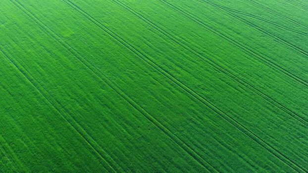 Aerial view of green fields in South Moravian Region Czechia.