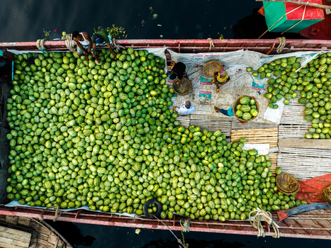 Aerial view of Sadarghat with workers loading and unloading a large shipment of fresh watermelons on a traditional wooden boat in Dhaka Dhaka Division Bangladesh. Aerial view of Sadarghat with workers loading and unloading a large shipment of fresh watermelons on a traditional wooden boat in Dhaka Dhaka Division Bangladesh.
