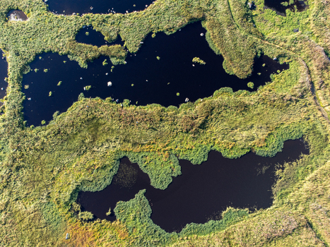 Aerial view of dark waters reflecting the sky surrounded by vibrant green and brown marshland creating a mesmerizing mosaic of nature Marmelkroken Nordland Norway.