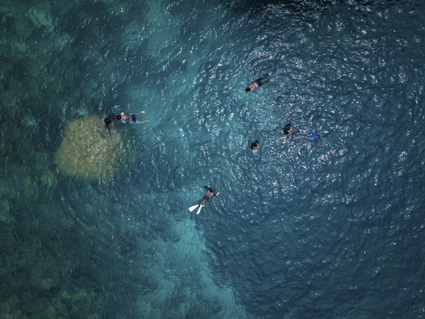 Aerial view of snorkelers floating in the crystalline turquoise waters near a vibrant coral reef creating a stunning contrast of blues Karimunjawa Central Java Indonesia.
