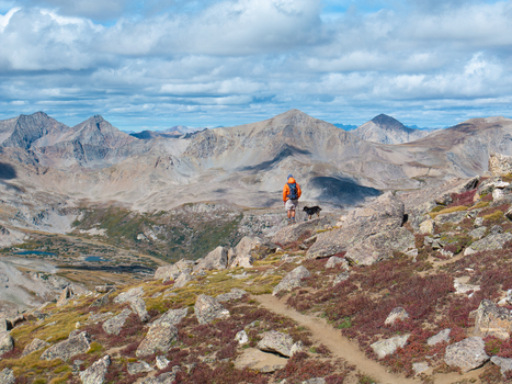 Aerial view of a hiker and their dog standing on a rocky trail overlooking the rugged peaks of Mount Harvard in Buena Vista Colorado United States.