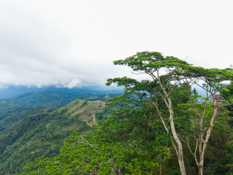 Aerial view of lush green hills and a winding dirt road under a cloudy sky in Gampola Central Province Sri Lanka. Aerial view of lush green hills and a winding dirt road under a cloudy sky in Gampola Central Province Sri Lanka.