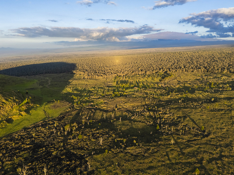 Aerial view of Puu Waawaa cinder cone and rugged lava fields under a soft golden light with rolling green hills Hawaii County Hawaii United States. Aerial view of Puu Waawaa cinder cone and rugged lava fields under a soft golden light with rolling green hills Hawaii County Hawaii United States.