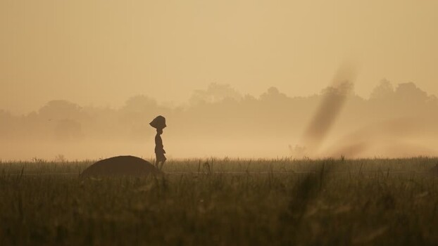 View of a silhouette worker in a misty field at dawn Bangladesh.