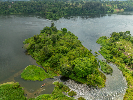 Aerial view of a lush green island nestled along the mighty River Nile with a small boat navigating the calm waters in Jinja Eastern Region Uganda.