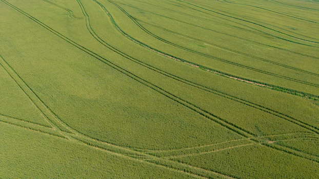 Aerial view of lush green agricultural fields with distinct tractor tracks forming curved patterns in the landscape of Greyton Western Cape South Africa.
