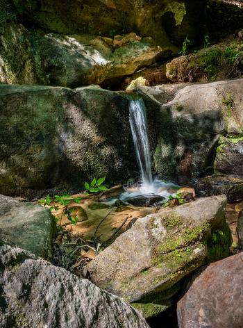 View of a small waterfall at Pickle Springs Natural Area flowing over mossy sandstone boulders into a clear pool in New Offenburg Missouri United States.