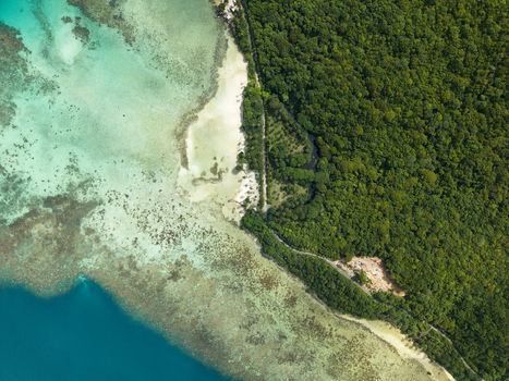 Aerial view of where the turquoise sea meets the lush green forest creating a stunning contrast of nature s beauty Karimunjawa Central Java Indonesia.