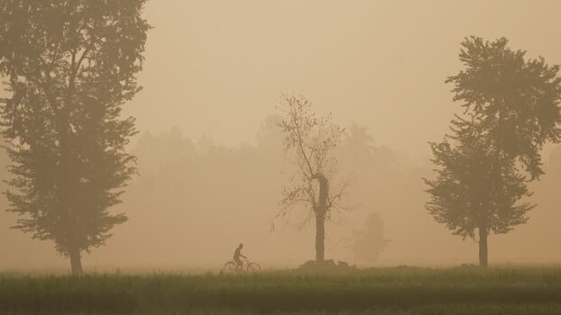 View of a person cycling through a foggy field Bangladesh. View of a person cycling through a foggy field Bangladesh.