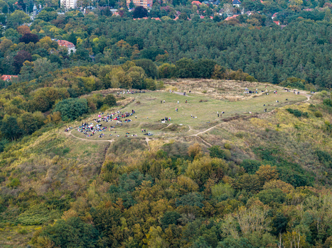 Aerial view of Drachenberg hill with people relaxing on the grassy summit surrounded by dense forest and urban landscape in Berlin Berlin Germany.