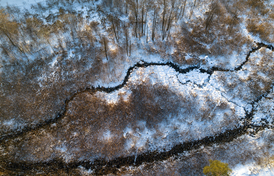 Aerial view of a winding stream flowing through a snow covered marshland with dry reeds and bare trees in Lithuania. Aerial view of a winding stream flowing through a snow covered marshland with dry reeds and bare trees in Lithuania.