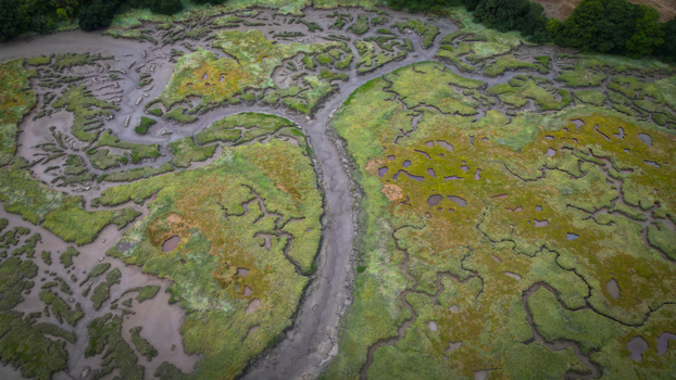 Aerial view of intricate waterways cutting through the landscape a symphony of earth tones meeting vibrant greens Henvic Bretagne France.