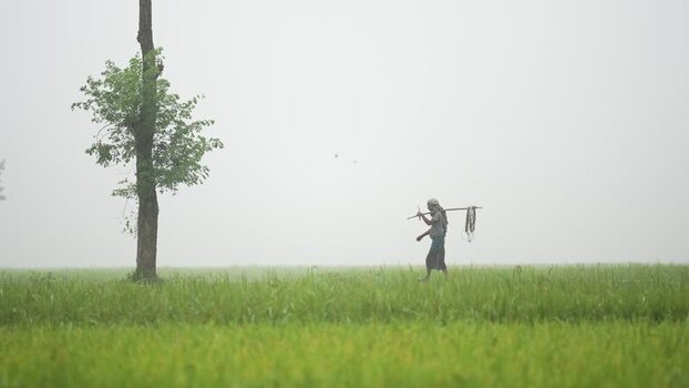 View of a farmer walking in a misty field in Bogura Bangladesh.
