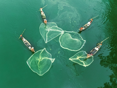 Khansama Upazila Bangladesh 11 June 2026 Aerial view of fishermen in small wooden boats casting large circular nets into the green river water.