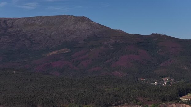 Aerial view of mountain and forest Portugal. Aerial view of mountain and forest Portugal.