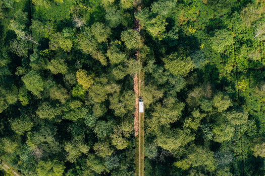 Aerial view of a white vehicle driving along a narrow dirt path through a dense green forest in Panchagarh Rangpur Division Bangladesh. Aerial view of a white vehicle driving along a narrow dirt path through a dense green forest in Panchagarh Rangpur Division Bangladesh.