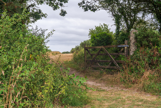 View of a rustic wooden gate leading to a rural path through fields under a cloudy sky in Bodmin Cornwall United Kingdom. View of a rustic wooden gate leading to a rural path through fields under a cloudy sky in Bodmin Cornwall United Kingdom.