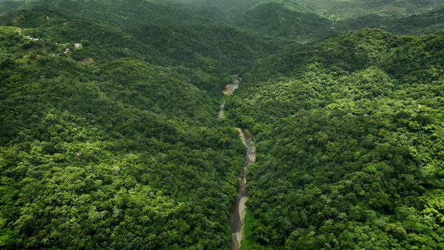 Aerial view of a winding river flowing through a lush dense tropical forest in the mountainous terrain of San Sebastian San Sebastian Puerto Rico.
