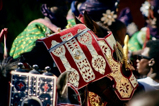 Zaria city Nigeria 21 March 2026 View of a majestic horse adorned in resplendent red and gold ceremonial regalia showcasing intricate patterns amidst a vibrant celebration. Zaria city Nigeria 21 March 2026 View of a majestic horse adorned in resplendent red and gold ceremonial regalia showcasing intricate patterns amidst a vibrant celebration.