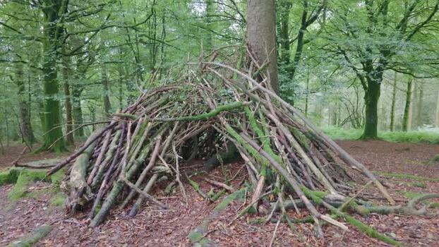 View of a forest school shelter in a woodland United Kingdom. View of a forest school shelter in a woodland United Kingdom.