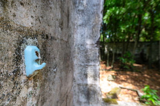 View of a weathered ceramic hook mounted on a textured concrete wall within an abandoned structure being reclaimed by surrounding forest foliage.