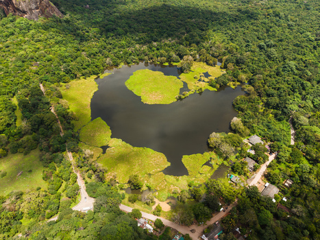 Aerial view of a serene lake and the edge of Sigiriya Rock surrounded by lush tropical forest in Sigiriya Central Province Sri Lanka.