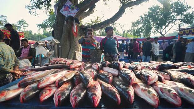 View of fresh fish at a local market in Bogura Bangladesh. View of fresh fish at a local market in Bogura Bangladesh.