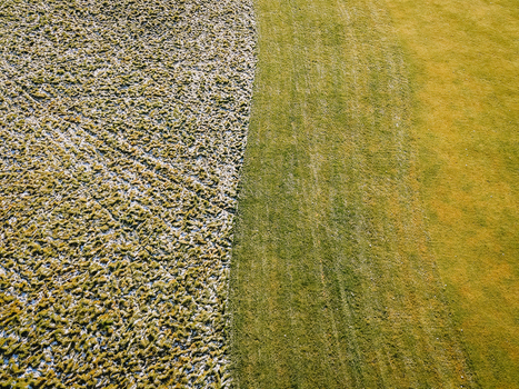 Aerial view of a golf course showing a distinct contrast between a frost covered textured section and a vibrant green grassy area in Valmiera Valmiera Latvija.