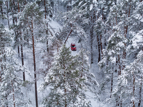Aerial view of a red car driving on a snow covered road through a dense pine forest in winter in Latvia.