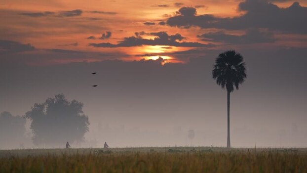 View of a misty sunset over rural fields in Bangladesh.