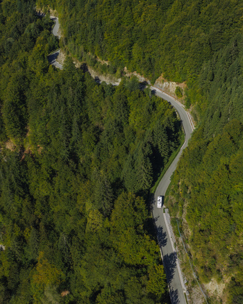 Aerial view of a winding road cutting through a dense green forest with a vehicle driving along the asphalt path in Skofja Loka Slovenia.