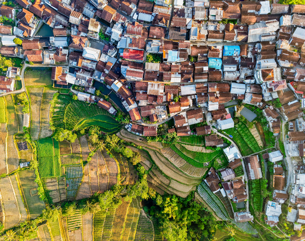 Aerial view of Dieng Plateau featuring dense village rooftops nestled against lush green terraced rice fields and agricultural land under warm sunlight Indonesia.