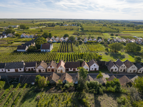 Aerial view of the historic Hajos pincefalu wine village featuring rows of traditional white cellars nestled among lush vineyards and green fields in Hajos Hungary. Aerial view of the historic Hajos pincefalu wine village featuring rows of traditional white cellars nestled among lush vineyards and green fields in Hajos Hungary.