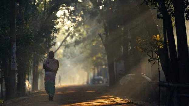 View of a person walking on a sunlit rural road Bangladesh. View of a person walking on a sunlit rural road Bangladesh.