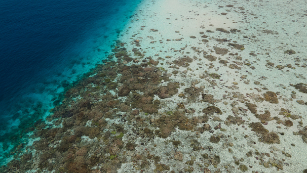 Aerial view of the vibrant coral reef formations and shallow turquoise waters contrasting with the deep blue ocean in Raja Ampat Southwest Papua Indonesia. Aerial view of the vibrant coral reef formations and shallow turquoise waters contrasting with the deep blue ocean in Raja Ampat Southwest Papua Indonesia.