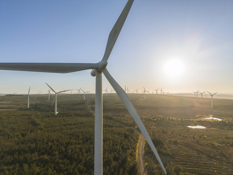 Aerial view of wind turbines of a wind farm on Eaglesham moor at sunset with dense forest and a dirt road Kilmarnock Scotland United Kingdom.