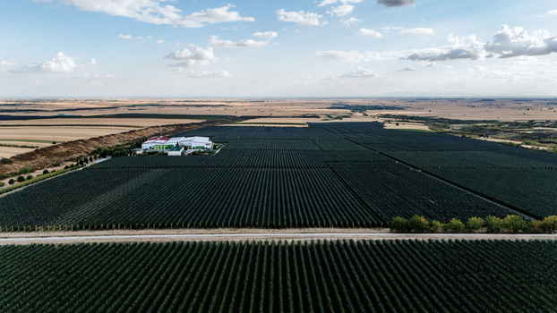 Aerial view of the Deuric winery and extensive vineyards in the rural landscape of Mala Remeta Vojvodina Serbia. Aerial view of the Deuric winery and extensive vineyards in the rural landscape of Mala Remeta Vojvodina Serbia.