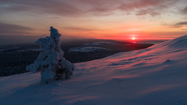 Aerial view of Luosto fell featuring a snow covered tree against a vibrant sunset sky in Sodankyla Lapland Finland. Aerial view of Luosto fell featuring a snow covered tree against a vibrant sunset sky in Sodankyla Lapland Finland.
